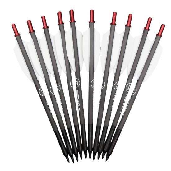 Carbon Ersatzpfeile REVO7 Armbrust 90-120 lbs – 10 Stück Schwer